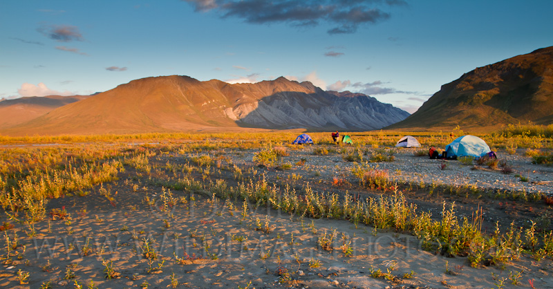 Camp, Kugrak River, AK