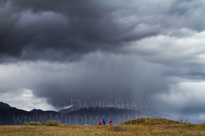 Coming Storm, Brooks Range, AK