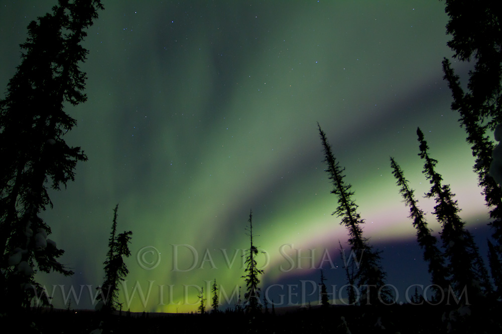 AK-FAI-Aurora-14Feb12-10