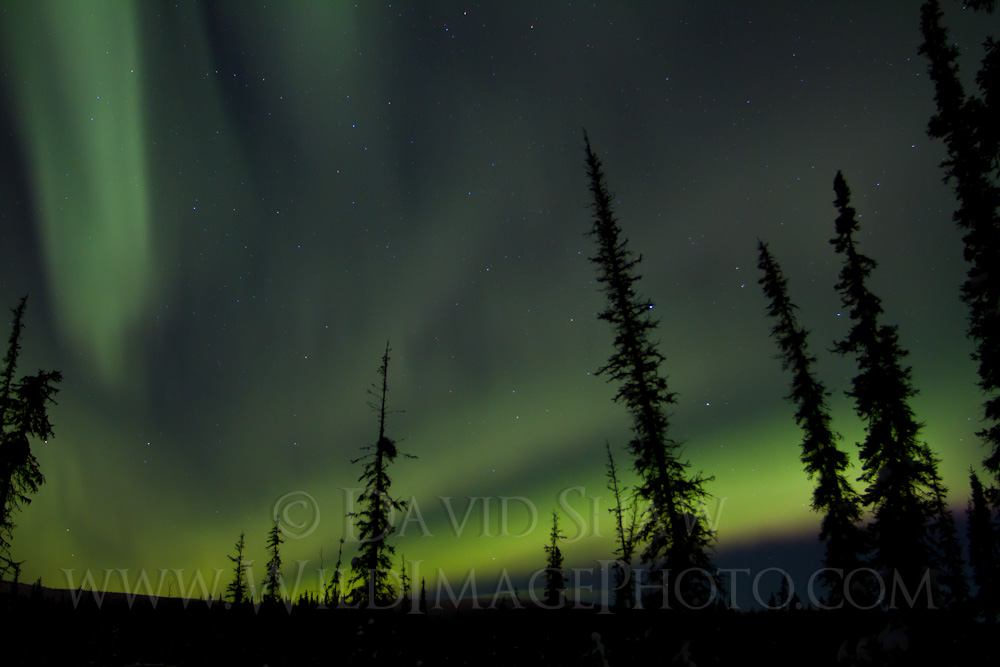 AK-FAI-Aurora-14Feb12-15