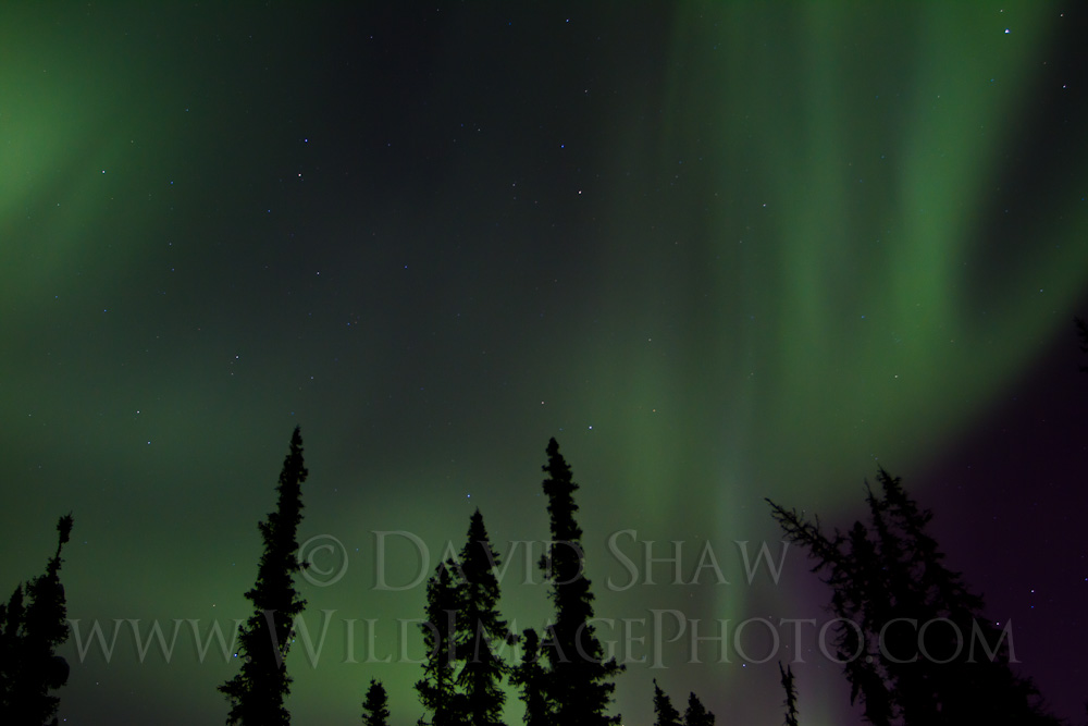 AK-FAI-Aurora-14Feb12-18