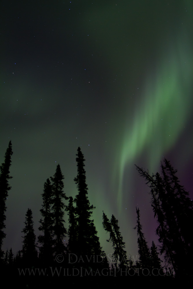 AK-FAI-Aurora-14Feb12-19