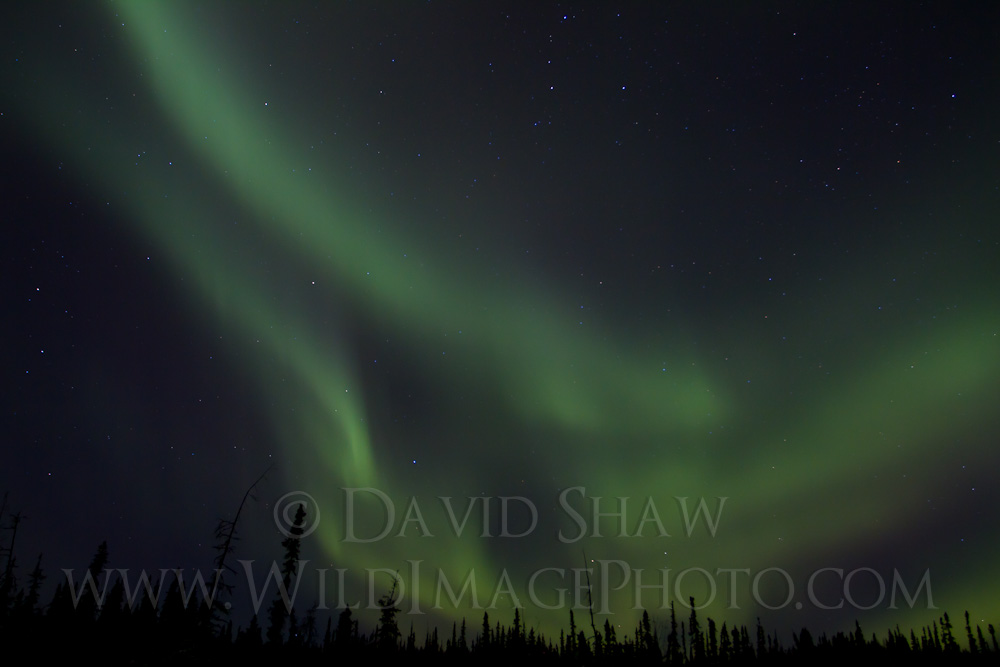 AK-FAI-Aurora-14Feb12-24