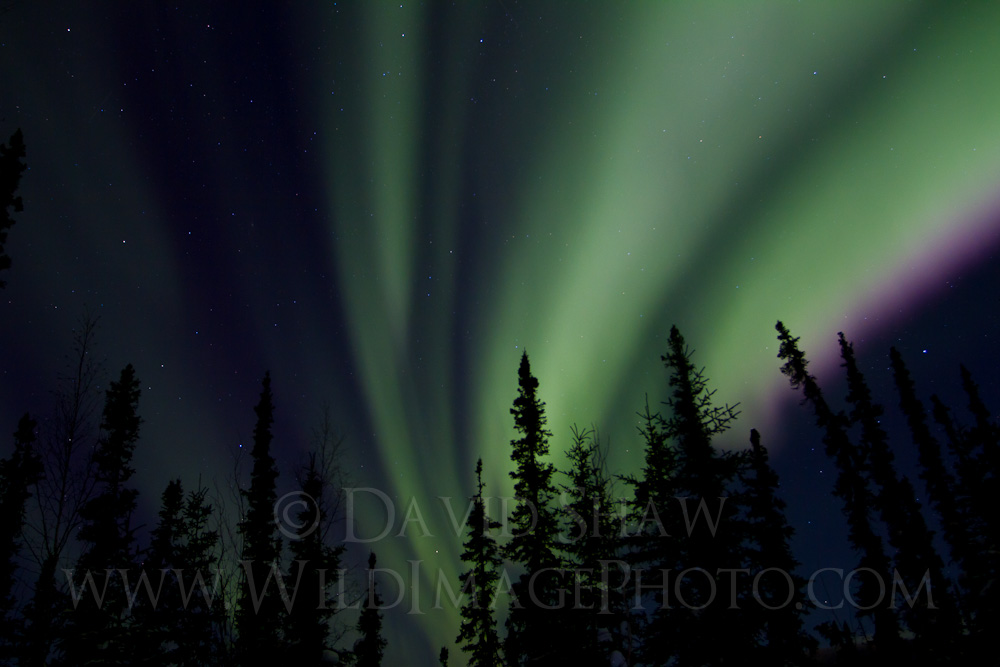 AK-FAI-Aurora-14Feb12-4
