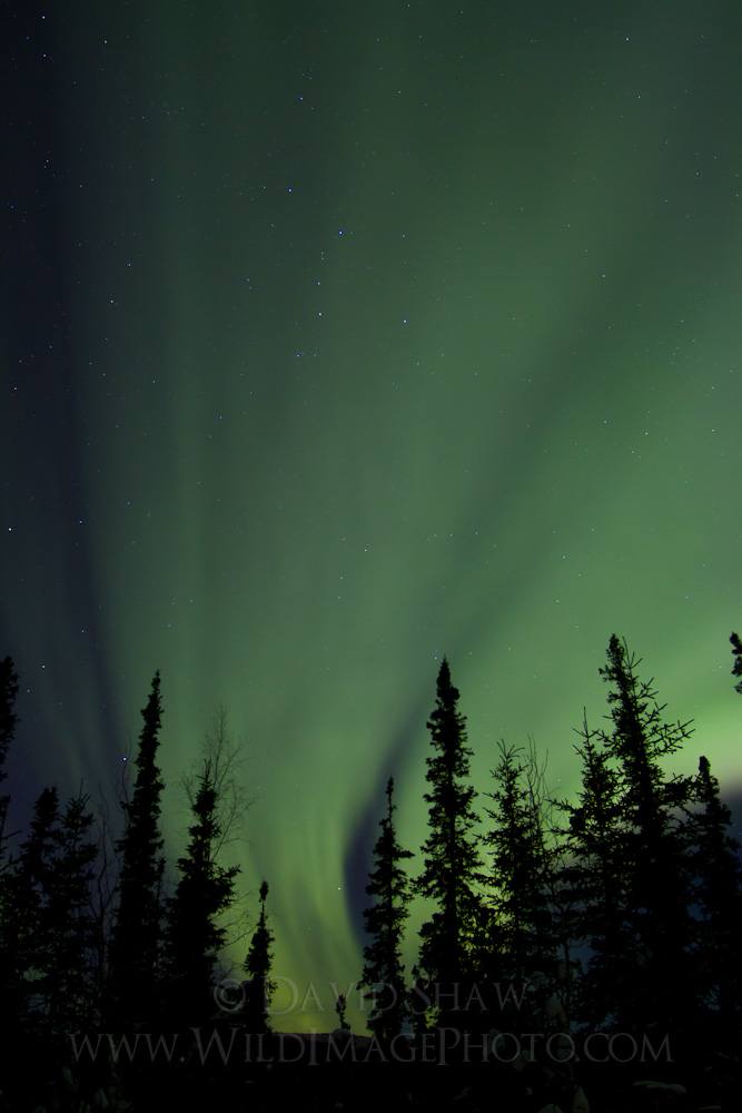 AK-FAI-Aurora-14Feb12-6