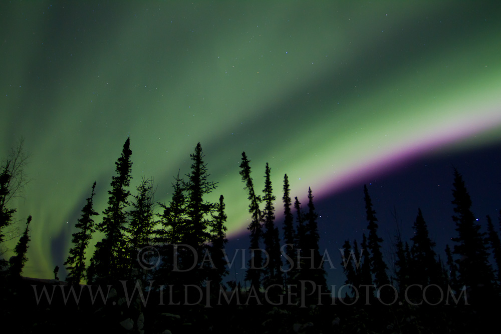 AK-FAI-Aurora-14Feb12-7