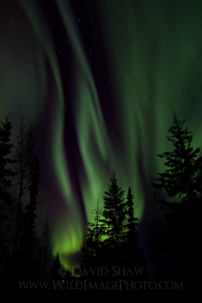 AK-FAI-Aurora-18Nov2012-22