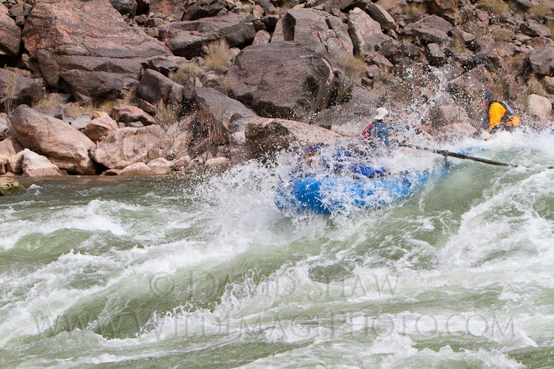 Plowing through the wave-train at Hermit Rapid