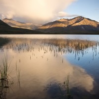 Tundra pond, Brooks Range, AK