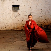 Young Monk, Paro, Bhutan