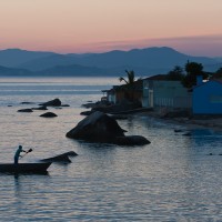 Oysterman, Santa Catarina, Brazil
