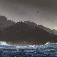 Albatross over Steeple Jason Island, Falklands
