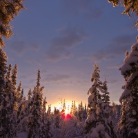 Winter Solstice, Fairbanks, AK
