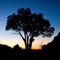 Desert sunset, Big Bend National Park, TX