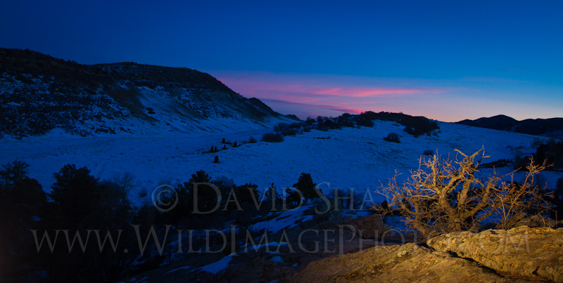 Blue Hour