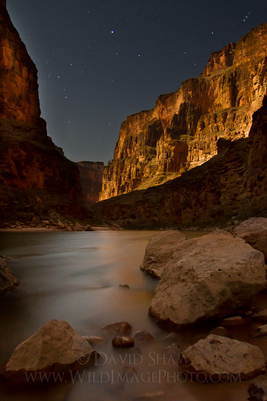 Grand Canyon: Night