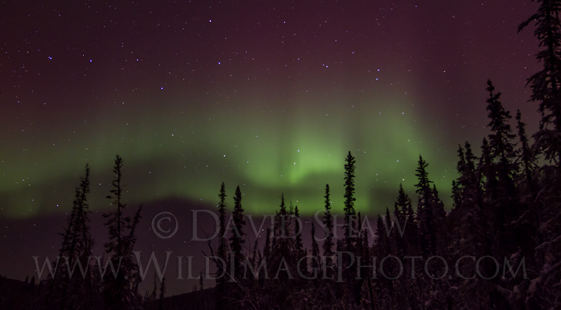 A Quiet Aurora