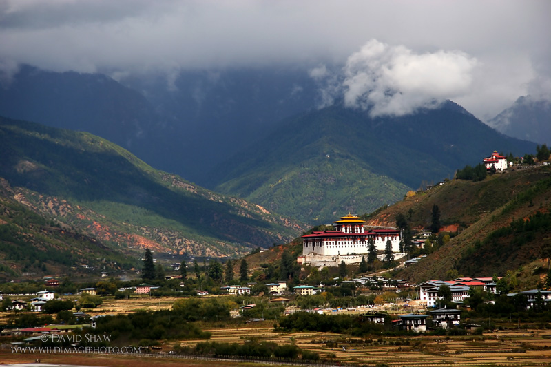 My Favorite Places: Bhutan