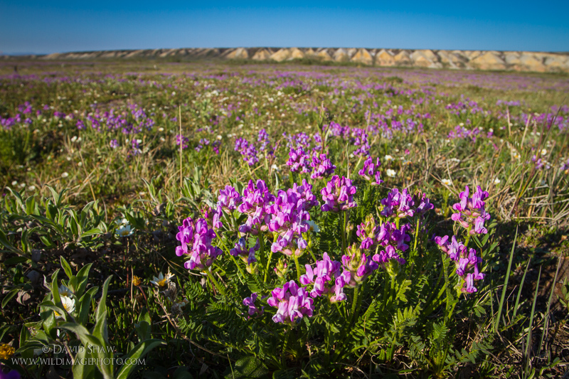 My Favorite Places Part II: Arctic Alaska