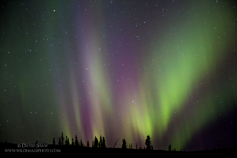 Lenses and the aurora: Is Wide and Fast Necessary?