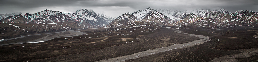 Wild Imagination Journal