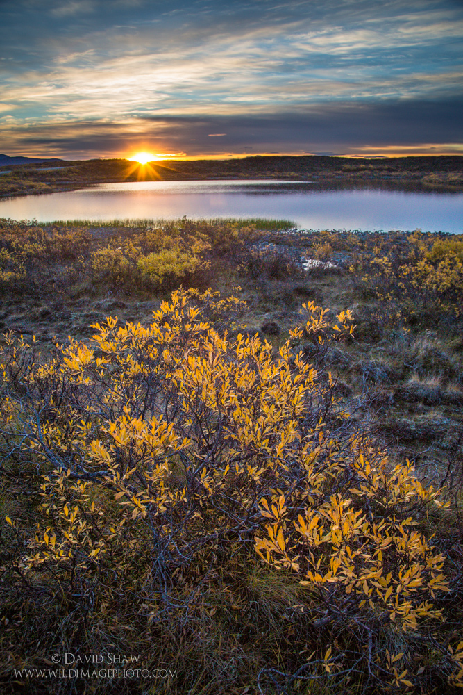 Overnight on the Denali Highway