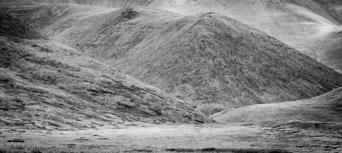Brooks Range Valley in Black and White