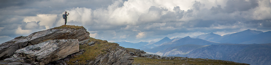 Wild Imagination Journal