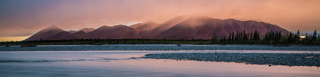 Wild Imagination Journal