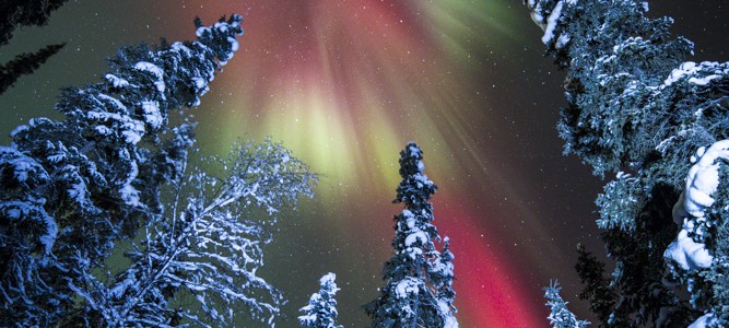 Northern Lights Lead to Busy Days