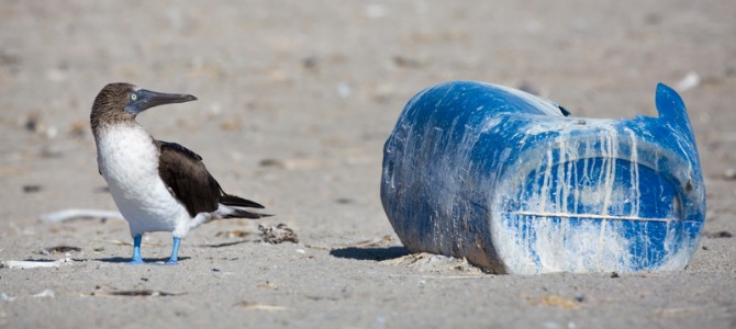 The Cost of Plastic